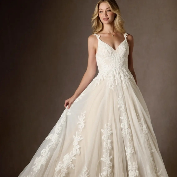 Elegant Lace Wedding Dress - Picture 8 of 9